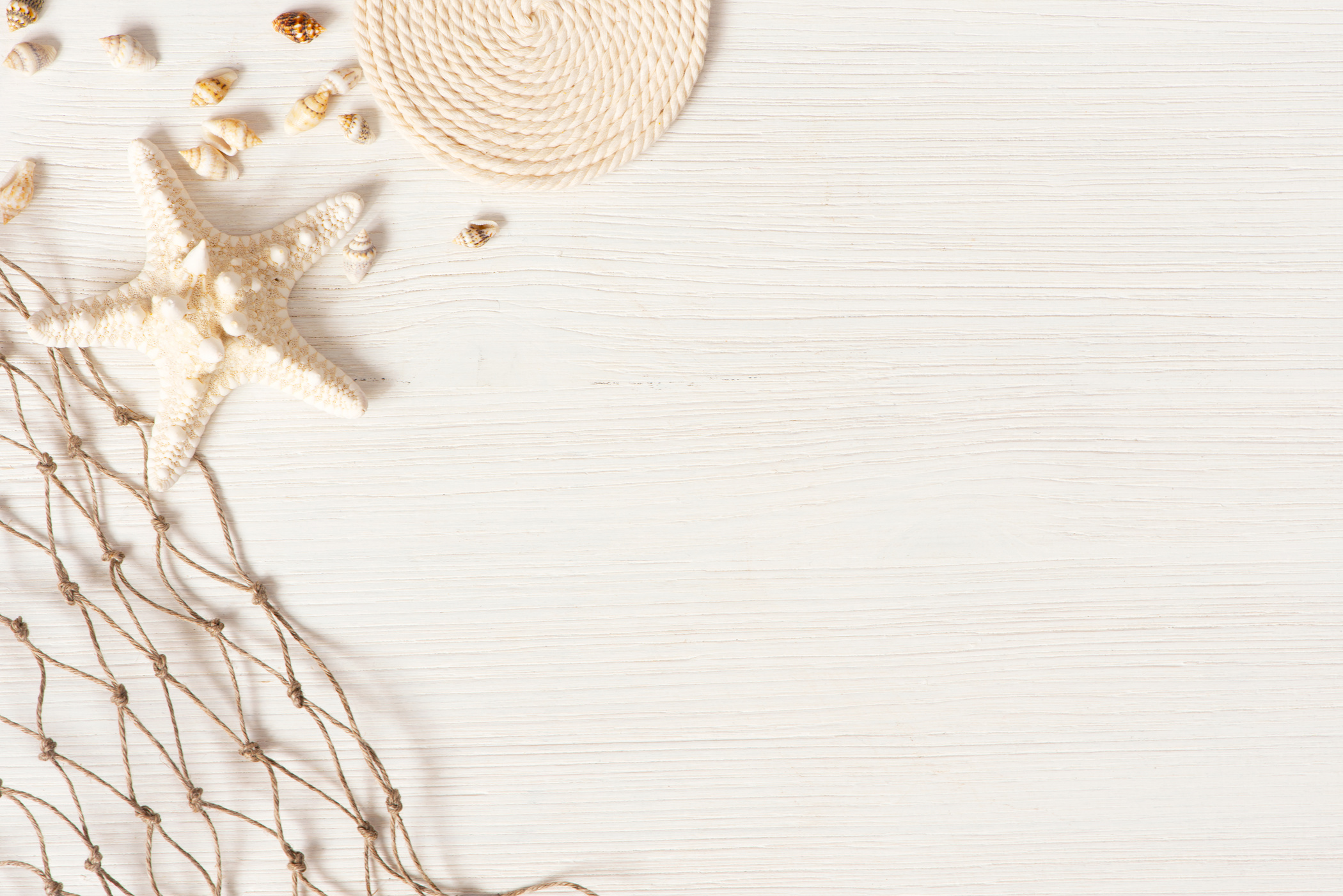 Starfish and Seashells Flat Lay