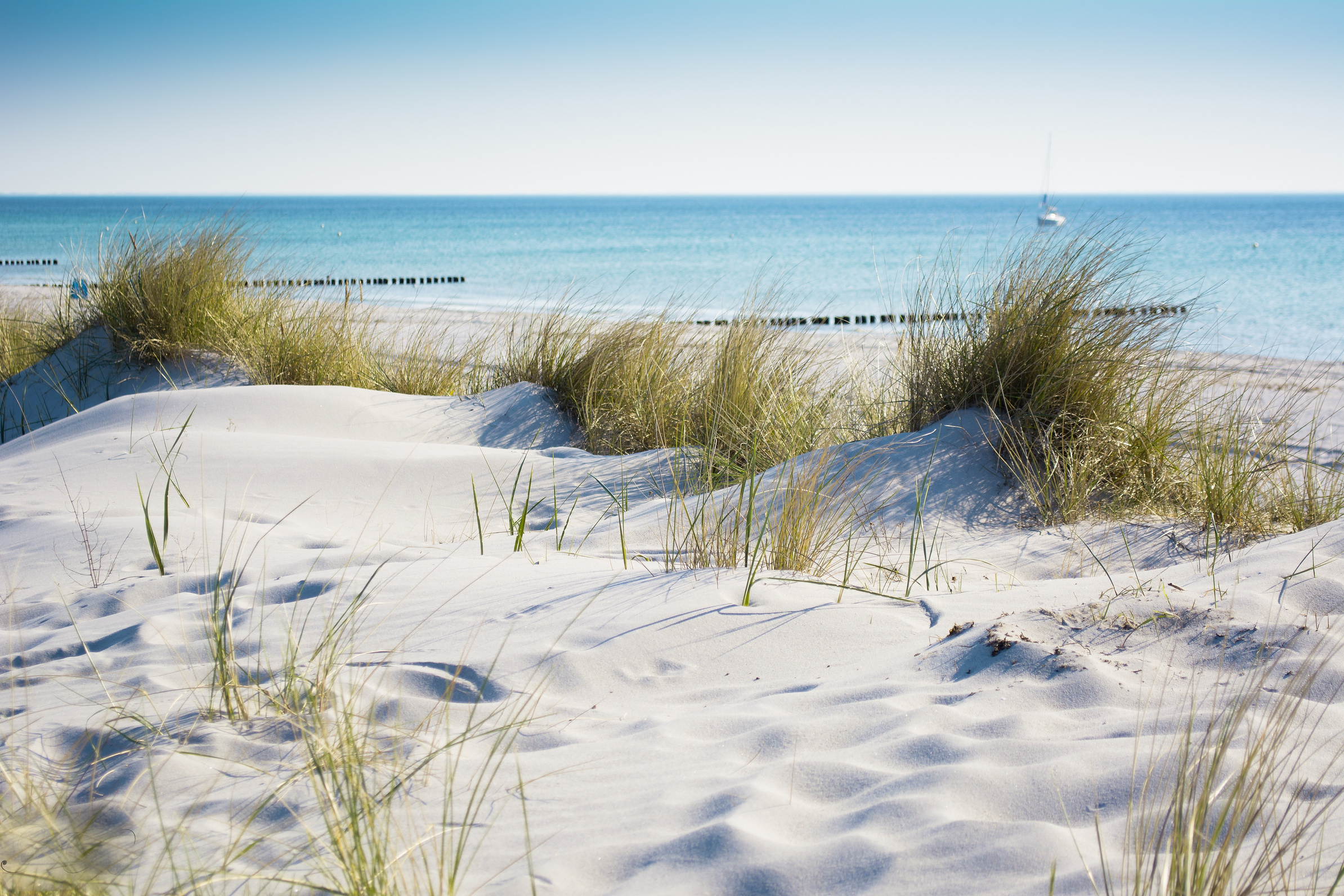 Sand On The Seashore